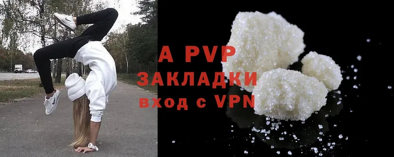 Alfa_PVP СК Юрьев-Польский